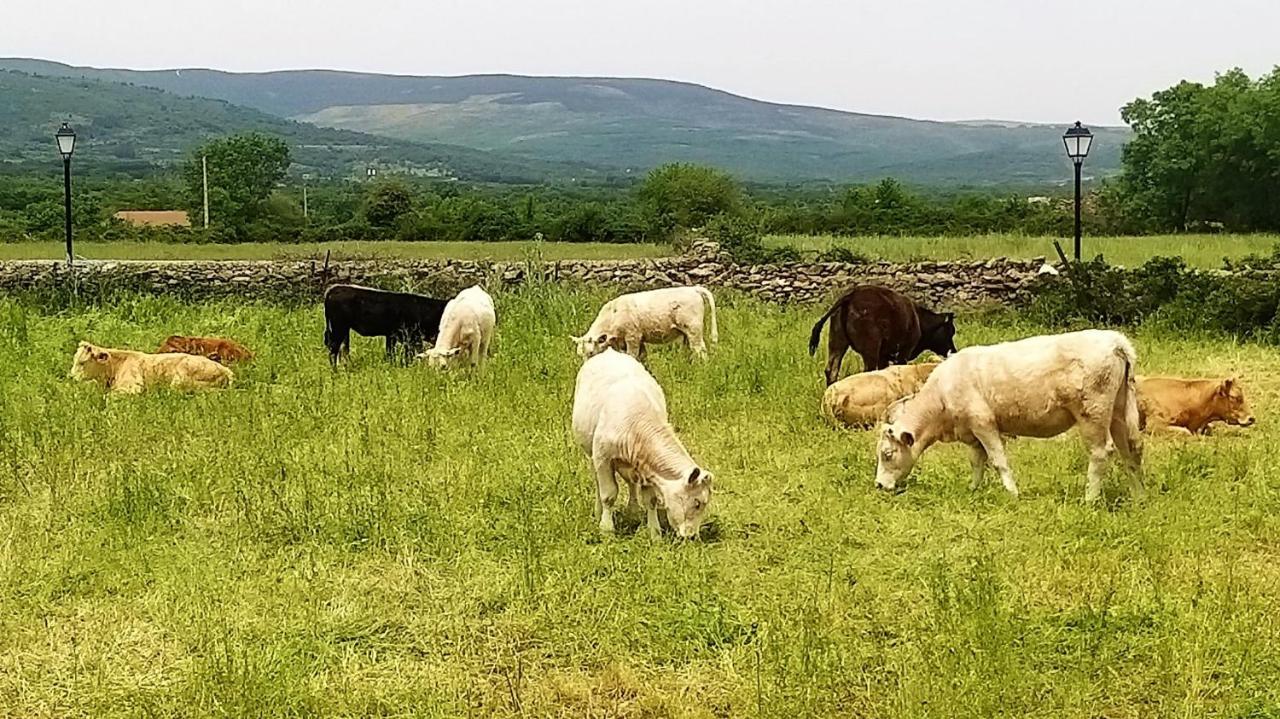 Casa Rural El Remolon Pinuecar المظهر الخارجي الصورة
