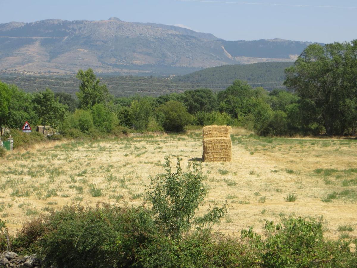 Casa Rural El Remolon Pinuecar المظهر الخارجي الصورة